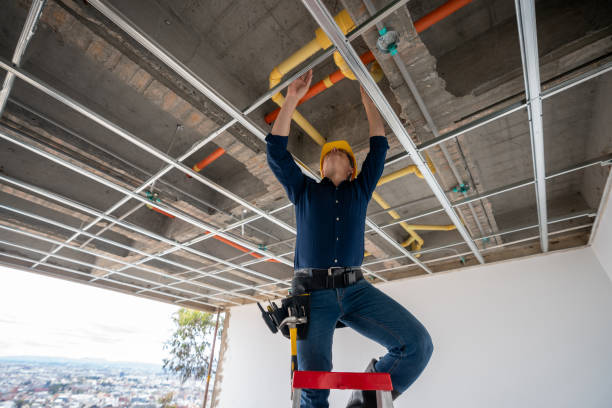 Best Plumbing Inspection Services  in Bartlett, TN