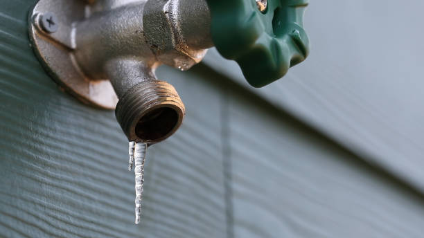 Best Local Plumber Services  in Bartlett, TN